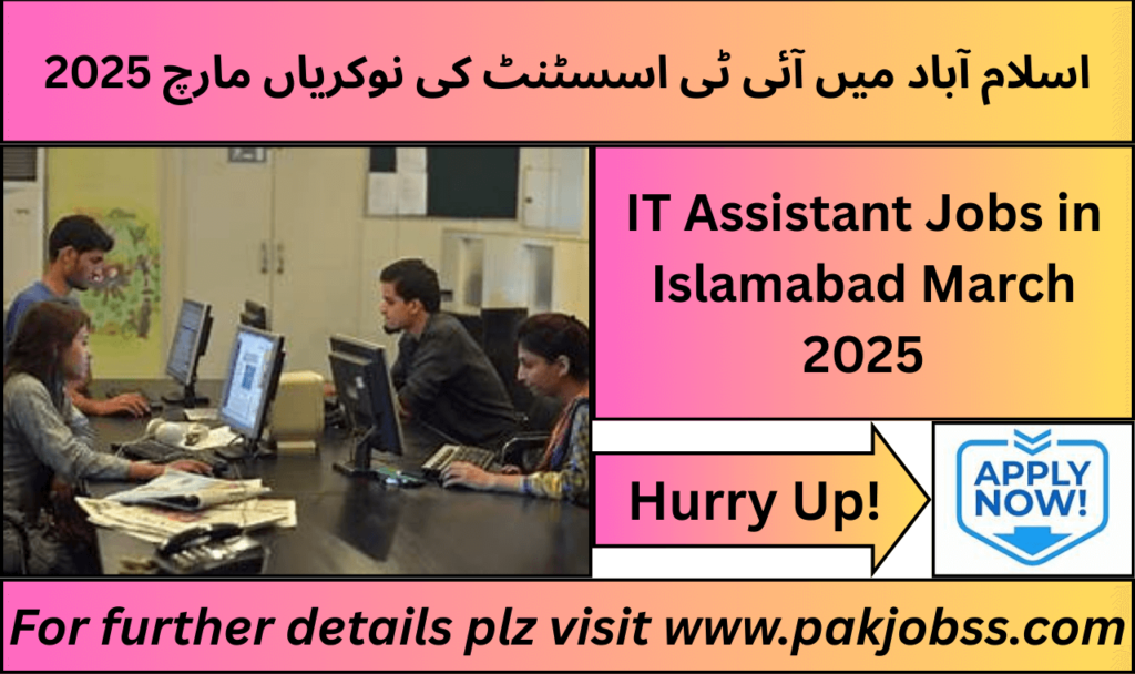 IT Assistant Jobs in Islamabad March 2025 Advertisement