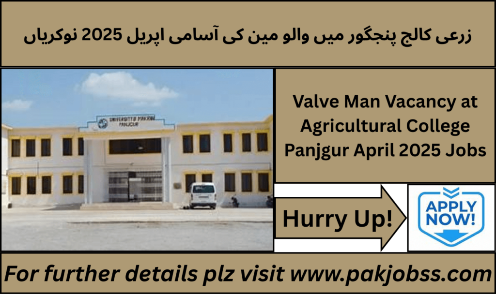 Valveman job at Agriculture College Panjgur 2025